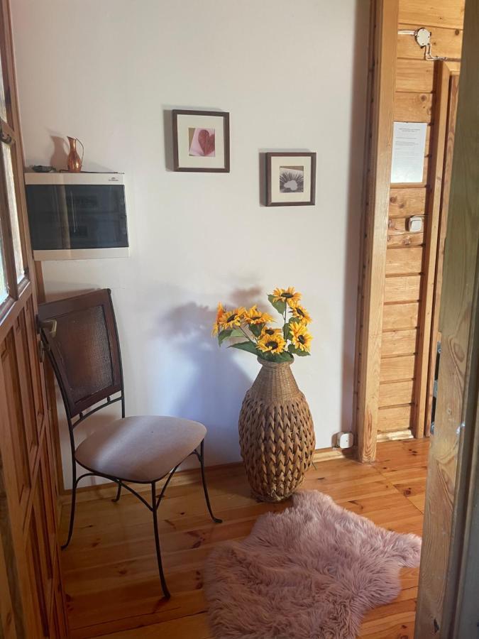 Dom Z Bali Villa Bajkowy Dom Dzwierzuty エクステリア 写真